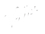 vector-05